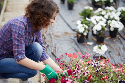 Gardeners Eden Park working safely in a landscaped garden