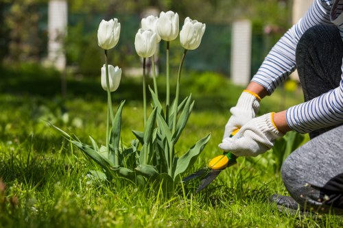 Patio cleaning service refreshing an outdoor area in Eden Park