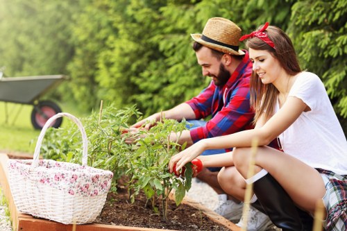 Professional gardening services in Eden Park for a tidy residential garden