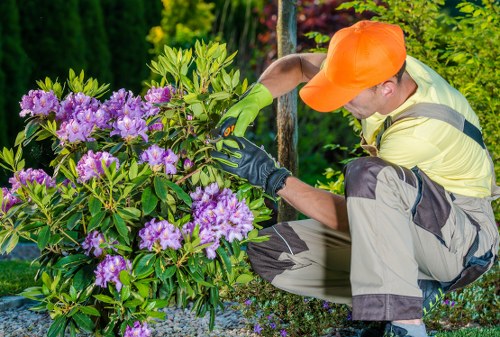 Garden waste and pricing estimate for an Eden Park property