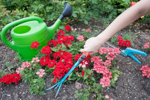 Decorative front fence improving Eden Park curb appeal