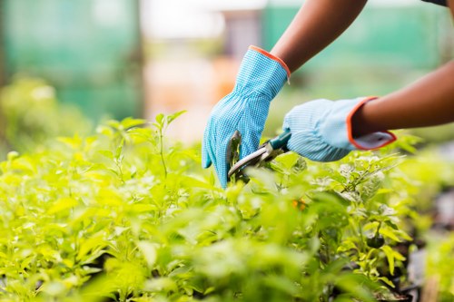 Supplier audit process for labour standards and worker protection