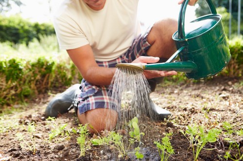 Landscape gardening in Eden Park with planting and lawn design