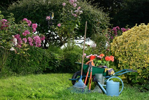 Professional tree removal assessment in Eden Park
