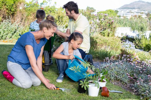 Garden maintenance in Eden Park with neat lawns and trimmed shrubs