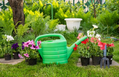 Beautiful outdoor space maintained by gardening services in Eden Park