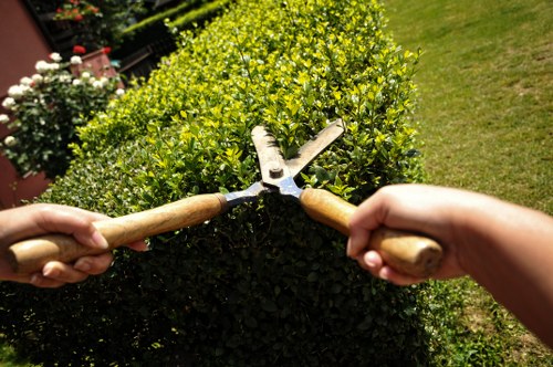Professional garden upkeep in Eden Park outdoor space