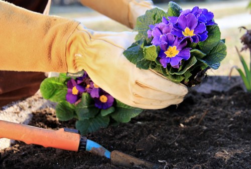 Safe use of tools and equipment in garden maintenance