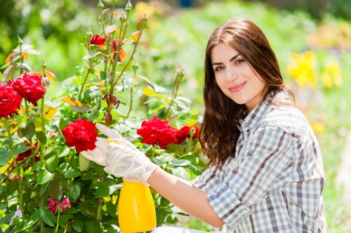 Green waste and garden rubbish cleared in Eden Park