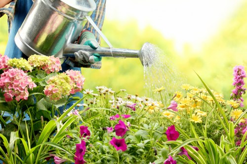 Safe and insured garden care service by Gardeners Eden Park