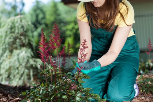 Seasonal planting and garden care in Eden Park