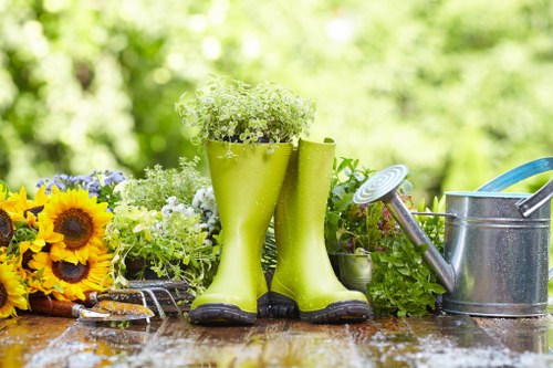 Garden planning and layout for Eden Park outdoor spaces