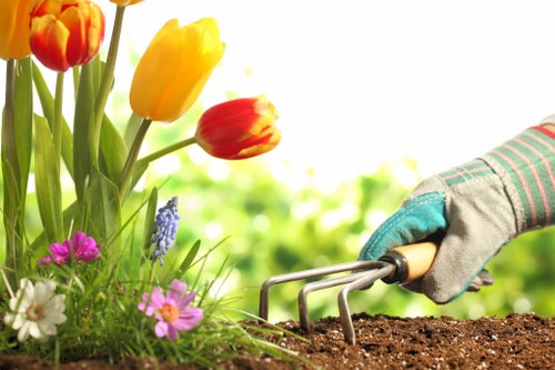 Seasonal lawn mowing maintenance in Eden Park