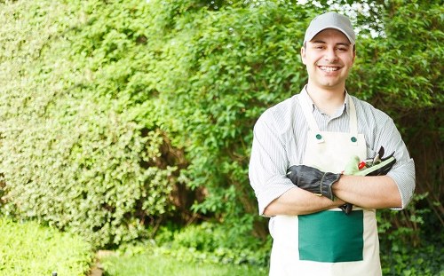 Professional lawn care work in an Eden Park yard