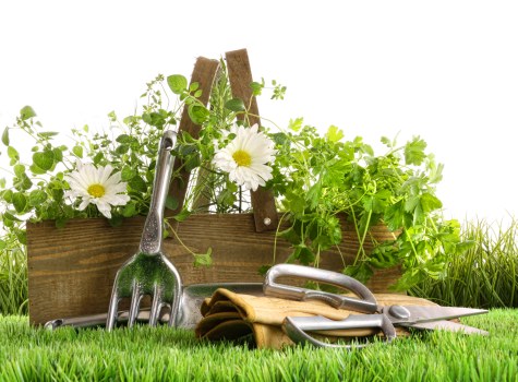Tidy outdoor space after garden clearance in Eden Park