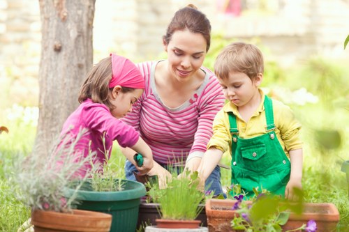 Professional garden clearance work in Eden Park