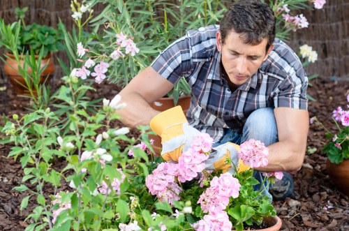 Marketing cookie usage for personalized content at Gardeners Eden Park