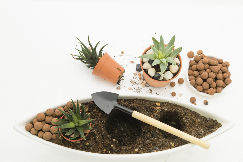 garden care garden